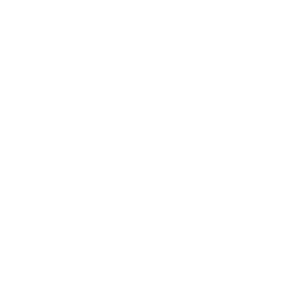Infograph Icon