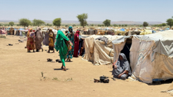Strengthening displacement data to drive informed action