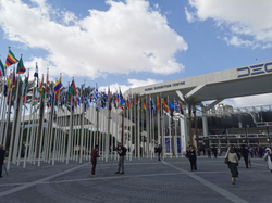 COP28: What did it say about displacement and climate change?