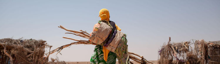 Displacement, disasters and climate change