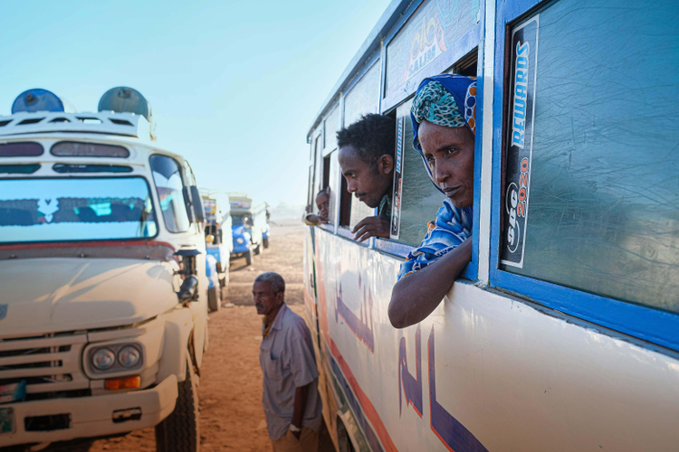 Conflict and violence