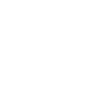 Infograph Icon