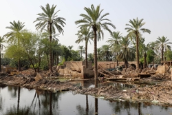 Seizing the opportunity to address disaster displacement in the Loss & Damage discussions