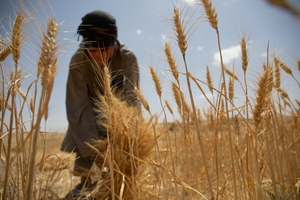 From Data to Action to Avert, Minimise and Address Disaster Displacement