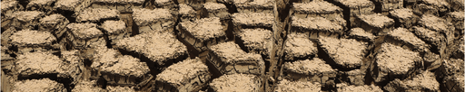 banner-image