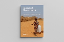 Impacts of displacement: Drought displacement in Gode Woreda, Ethiopia