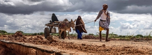 Mapping the Risk of Future Displacement in the Context of Climate Change