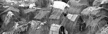 banner-image