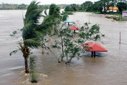 Impact forecasting and anticipatory action, how to take the right decision?