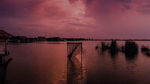 banner-image