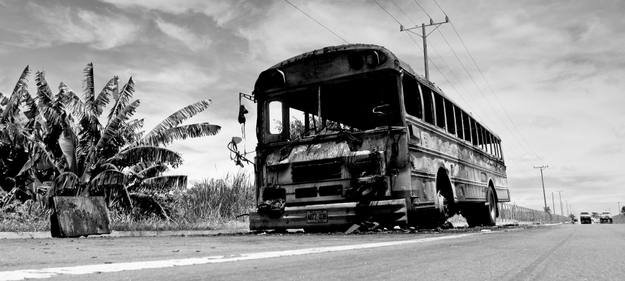 banner-image