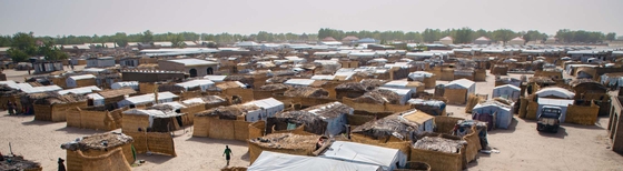 banner-image