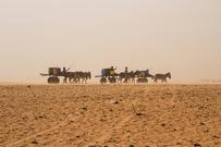 IDMC policy brief for COP29