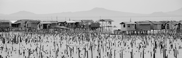 banner-image