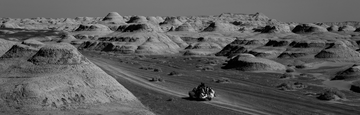 banner-image