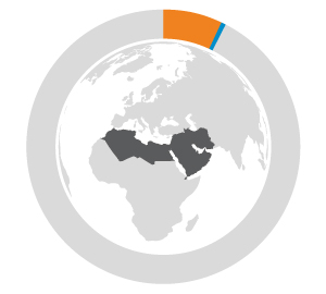 Middle East and North Africa regional overview