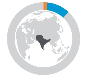 South Asia regional overview