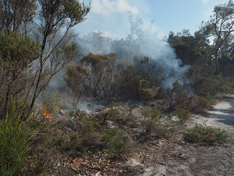 Controlled burn of 4 hectares along a boundary to a neglected neighbouring woodland with high fuel load at Red Moon Sanctuary, Redmond, Western Australia. Credit: Brett & Sue Coulstock, 2018