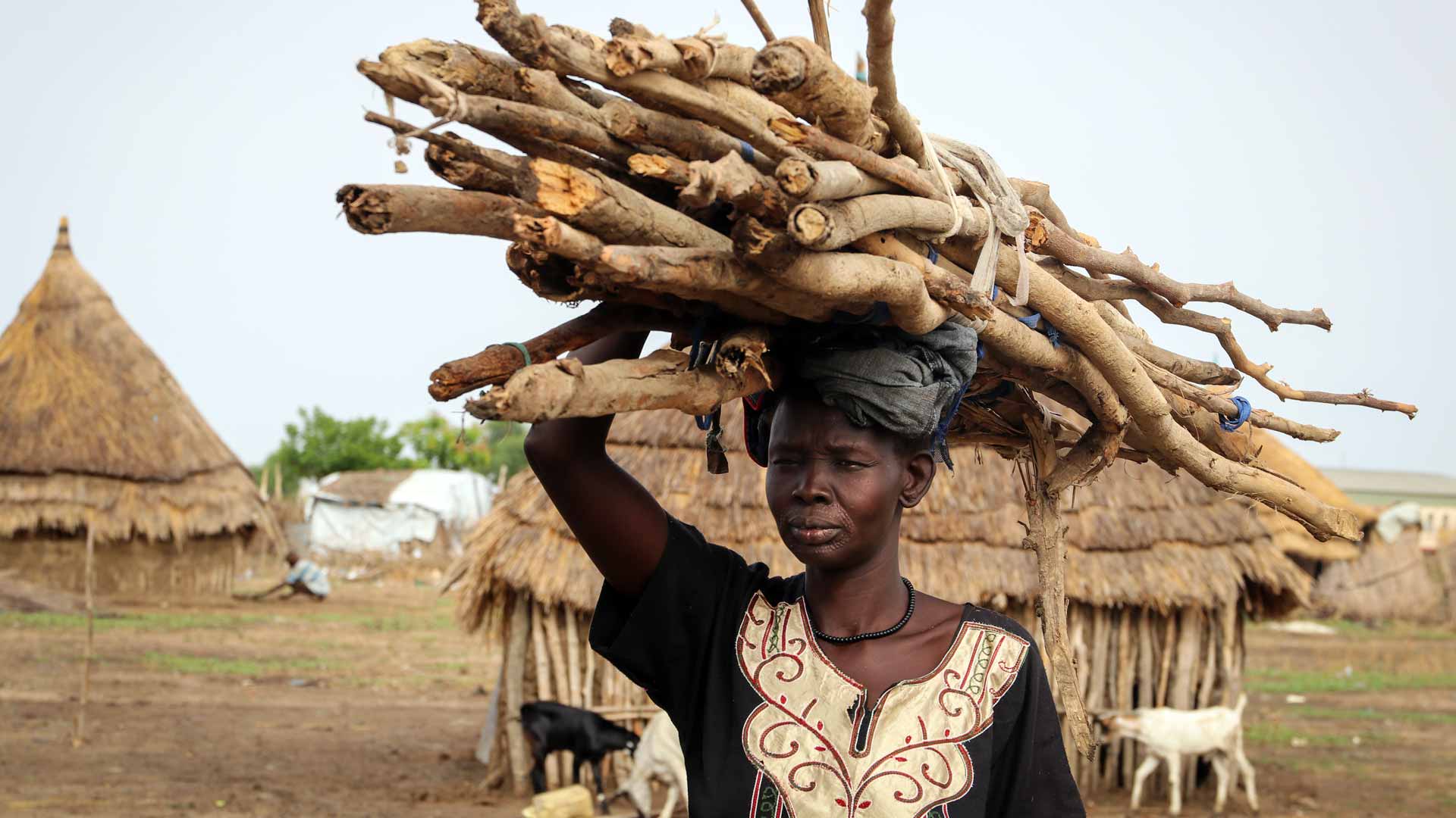 A woman carrying branches on her head in a rural village. 