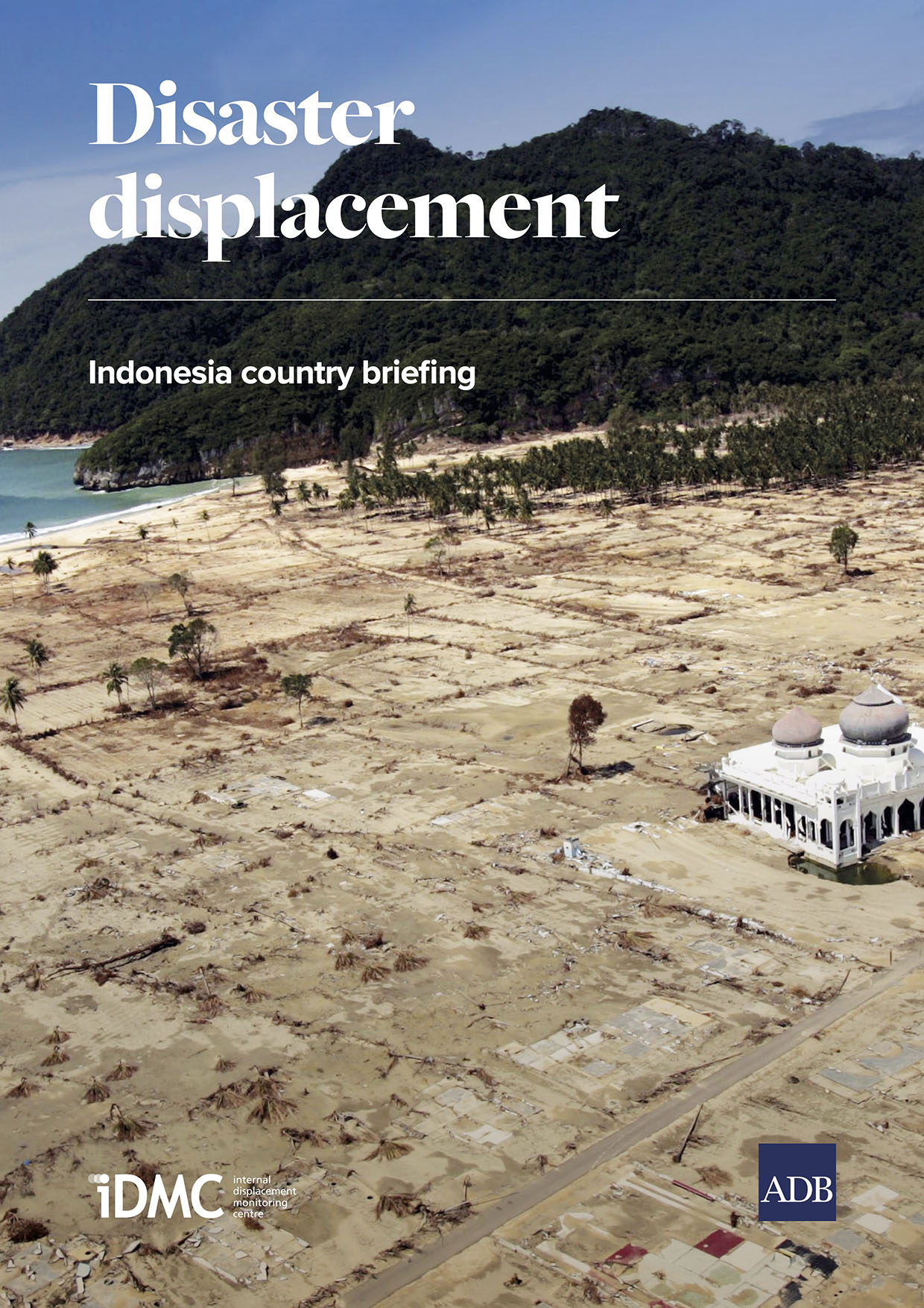 Disaster displacement: Indonesia country briefing