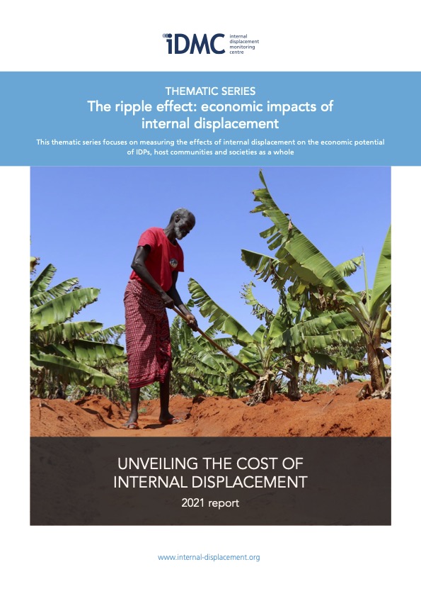Unveiling the cost of internal displacement